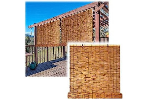 81NtSNY-n+L._AC_UL320_