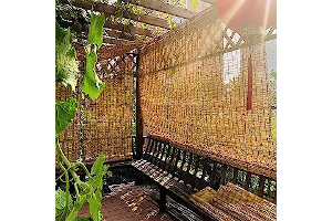 81TzTiY90GL._AC_UL320_