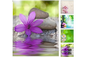 Persianas Dos Hermanas 81c1ffRTs1L._AC_UL320_