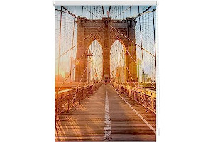 81t9D3MlW1L._AC_UL320_